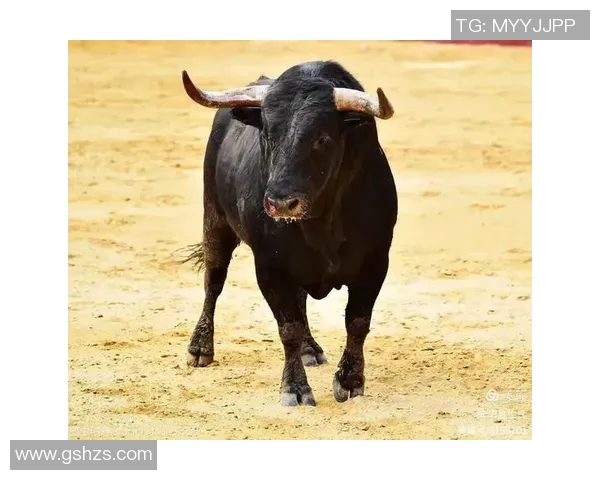 公牛精神与力量的象征：探索公牛在各文化中的深刻意义与影响