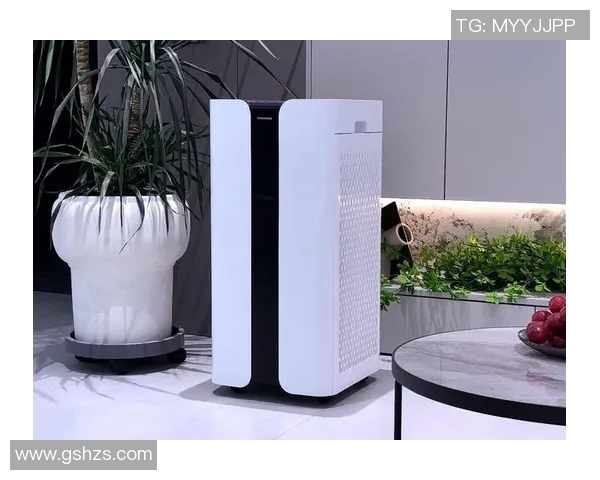 空气净化器选购指南 如何选择适合家庭使用的高效空气净化设备
