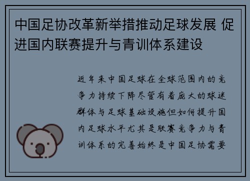 中国足协改革新举措推动足球发展 促进国内联赛提升与青训体系建设